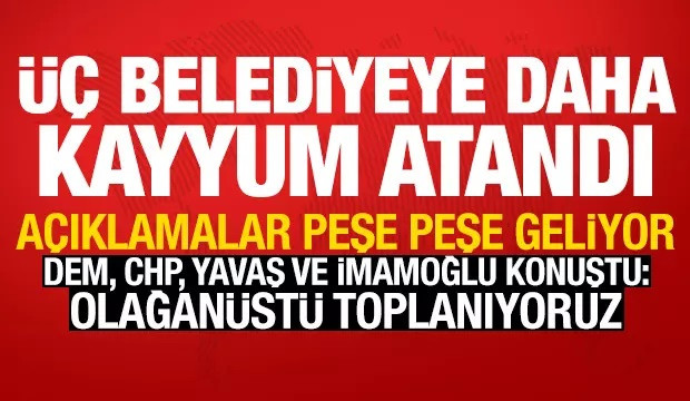 Mardin, Batman ve Halfeti'ye kayyum atandı! Peş peşe açıklamalar geliyor